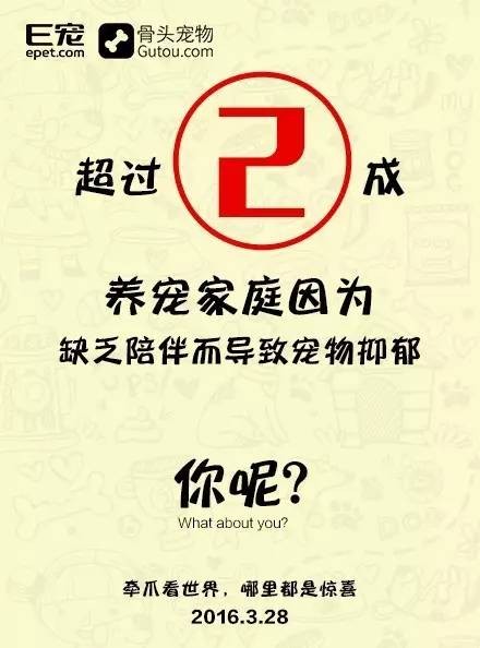 这个大秘密让我们通过5组宠物数据告诉你