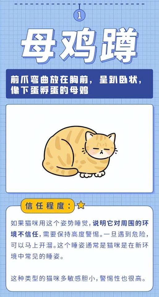 猫咪如此信任的睡姿铲屎官究竟给它灌了什么迷迭香